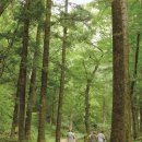 산사가는길 이미지