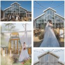 NR-14[기장대로]-상-376 | W1. 부산 야외웨딩 스몰웨딩 하기 좋은 예식장 찾기