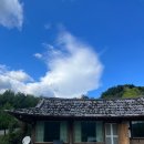 섬진강 찔레꽃 언덕 이미지