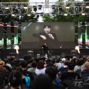 은행나무길(문화재단앞) 이미지