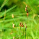 하늘지기 이미지