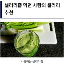 샐러리즙효능 및 부작용 이미지