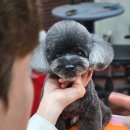 메종VIP203 이미지