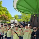 아이앤아이 태권도 스포츠클럽 이미지