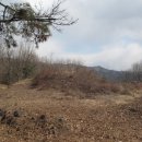 독산봉수지 이미지