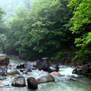 계곡의아침 이미지