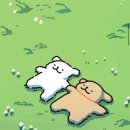 아산약국 이미지