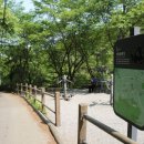 푸른빌딩 이미지