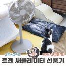 (주)터치커넥트 | 고양이 집사도 만족한 선풍기 앱연동 르젠 써큘레이터 LZEF-DC290 리얼 후기