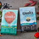 디비에스 주식회사 이미지