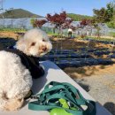 정촌유기농원 이미지