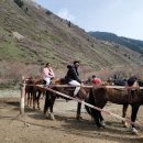 안녕, 중앙아시아 이미지