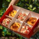 하이베라스 | [목동 베이커리 맛집] 유어스 베이크샵 무화과 에그타르트 후기✨