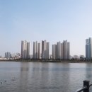 치칵치칵월곶점 이미지