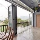 애견천국 이미지