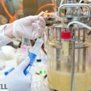 케이바이오사이언스