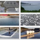 청정환경(유) 이미지