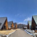 휴양펜션스위스마을 | 평창 스위스마을 펜션 예약 대관령독채펜션 추천 | 용평스키숙소로 좋았던 가시머리펜션