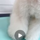 멍그라미 이미지