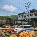 계백로(유성-26) 네이버블로그