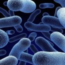 주식회사 코랩 이미지