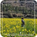보목동어촌계 | [제주도] 제주도 남쪽 드라이브_산방산 유채꽃, 용머리해안, 보목포구
