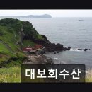 대보수산 | 부천 소사동 생선회 맛집 대보회수산 신선함과 가성비가 돋보이는 곳