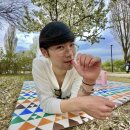 오삼파 | 다4다난