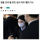 누군가가 조민을 극도로 싫어하는 듯 이미지