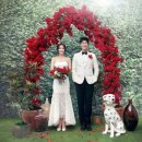 수에비뉴스튜디오