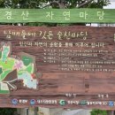 생활조경(주간) 이미지
