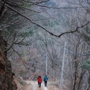 소양호나루터길(봄내길 5코스) 이미지