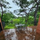 피콕빌리지 이미지