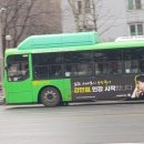 보성상운 네이버블로그