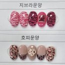 일산크리스챤쇼보미용학원
