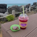 쉴만한 물가12 이미지