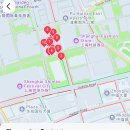태양식품2호 | 상하이 기념품 추천-토끼사탕, 하트파이 기념품 외 상하이 난징동루 기념품쇼핑 Shanghai First...