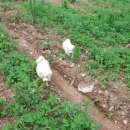 온달마루 이미지