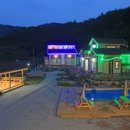 펜션 숲 이미지