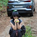 솔나무 언덕 길을 따라 ... 내 작은 행복을 찾아 ... 이미지