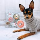 멍이 수라간 이미지