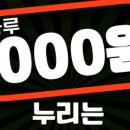 미녀와야수짐 네이버블로그