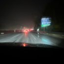 소노펠리체 델피노 이미지