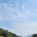 썬일가든 이미지