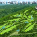 포항컨트리클럽 이미지