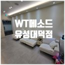 카메오랩(주) 분당센터 | 이용후기) 대전두피관리 , WT메소드 유성대덕점 - 민감성 스페셜 케어