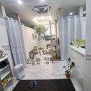 가장좋은날 안마지압원 | 서면마사지샵 고든지압원에 정착했어요