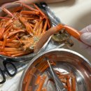 밥먹자 | 당일조업 수율좋은 호성아밥먹자 구룡포 제철 연지홍게 먹어본후기