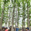 "26/6월10(수)대청호5백리1코스와청남대탐방(청봉대장님) 이미지