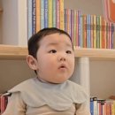 돌마이농장 네이버블로그